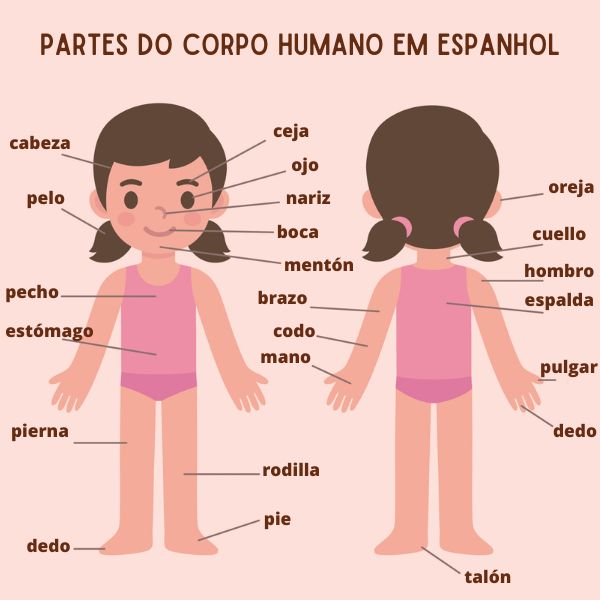 membros com c