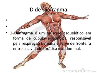 partes do corpo humano que começam com D