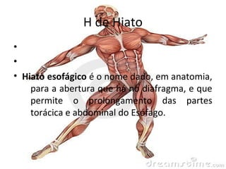 partes do corpo humano com h