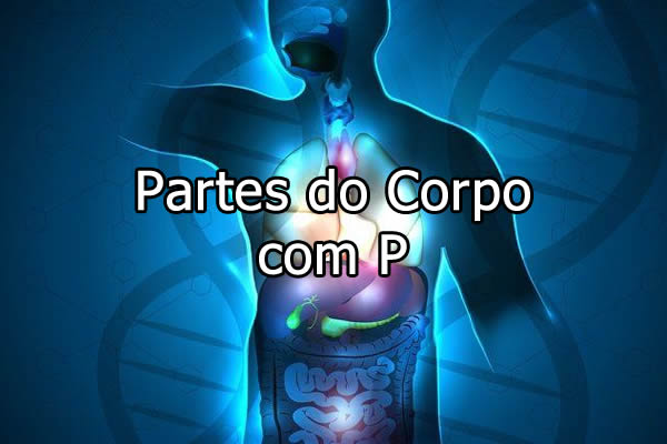 partes do corpo humano com p
