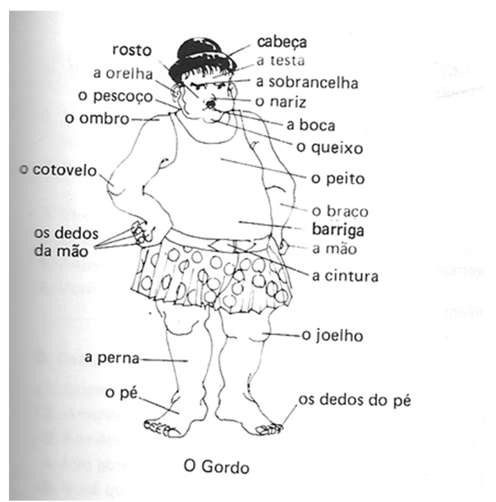 órgãos com a letra p