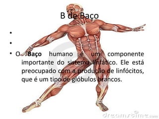 partes do corpo humano com a letra b