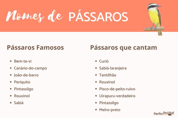 aves de rapina com v