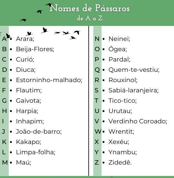 aves marinhas com v