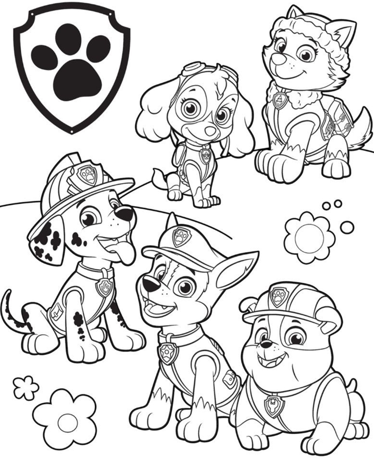 chase para colorir