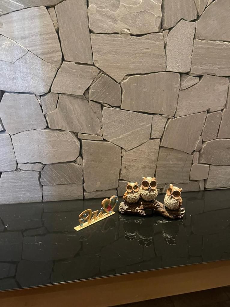 revestimento pedra natural para sala