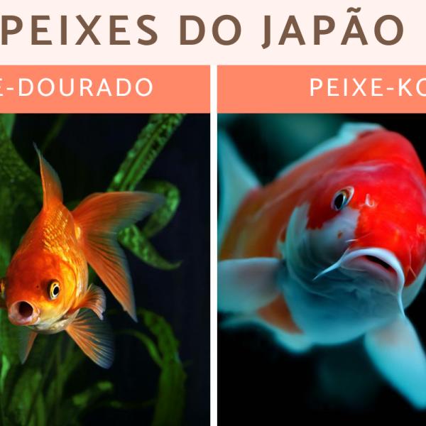 Peixes e o Elemento Água: Entenda a Profundidade Emocional deste Signo