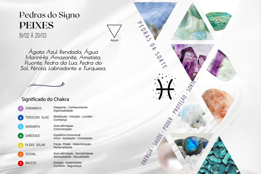 A Evolução dos Peixes: Da Origem à Diversidade Atual