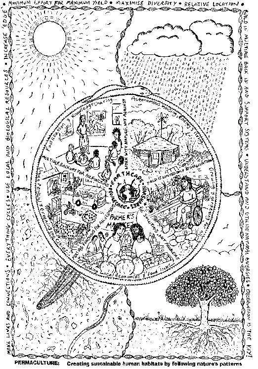 história e fundadores da permacultura