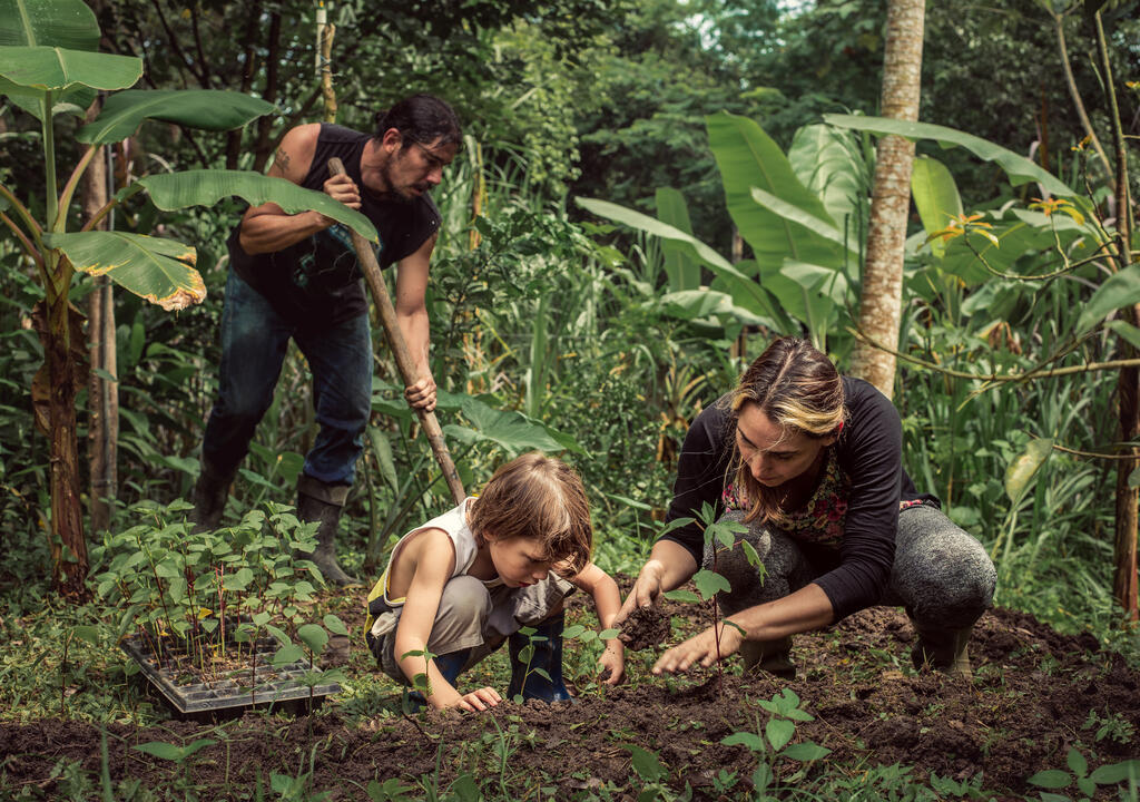 ética e princípios de design da permacultura