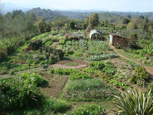 aplicações práticas da permacultura