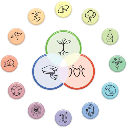permacultura urbana e sustentabilidade