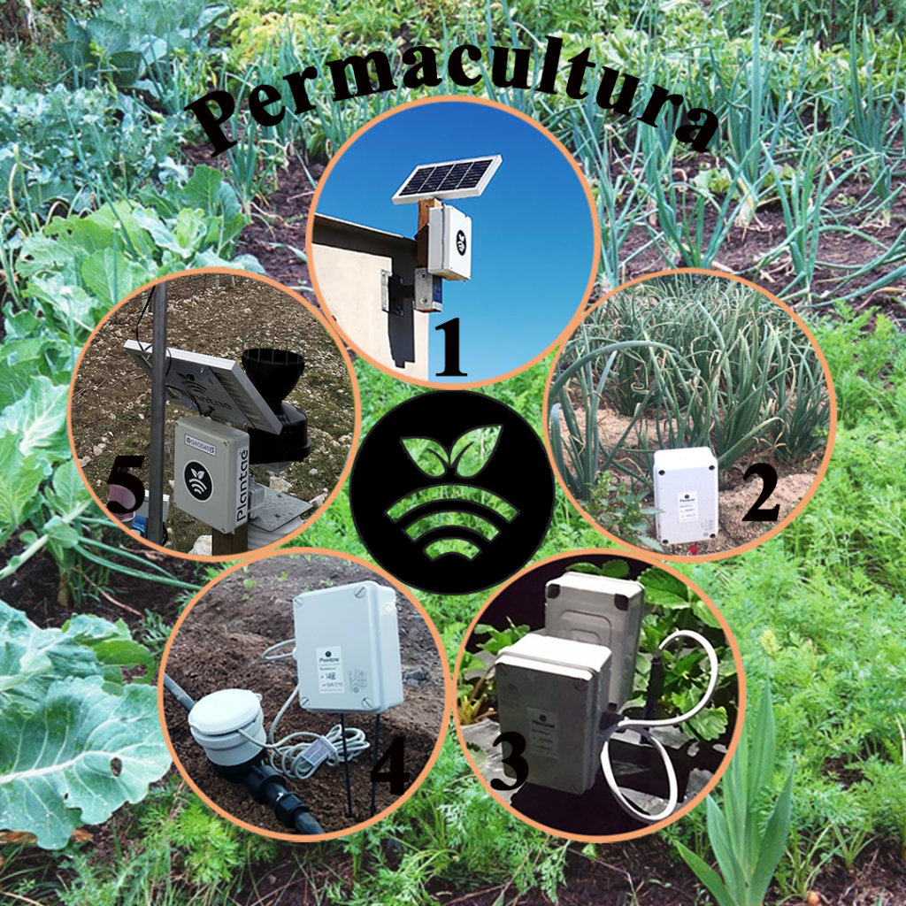 permacultura