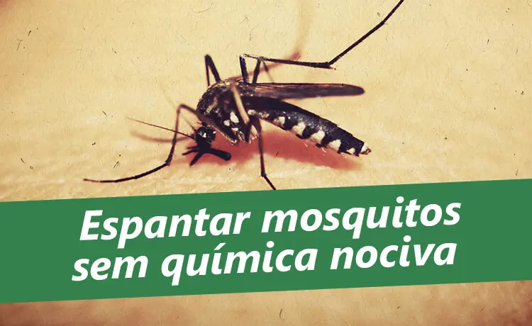 Pernilongo Como Acabar