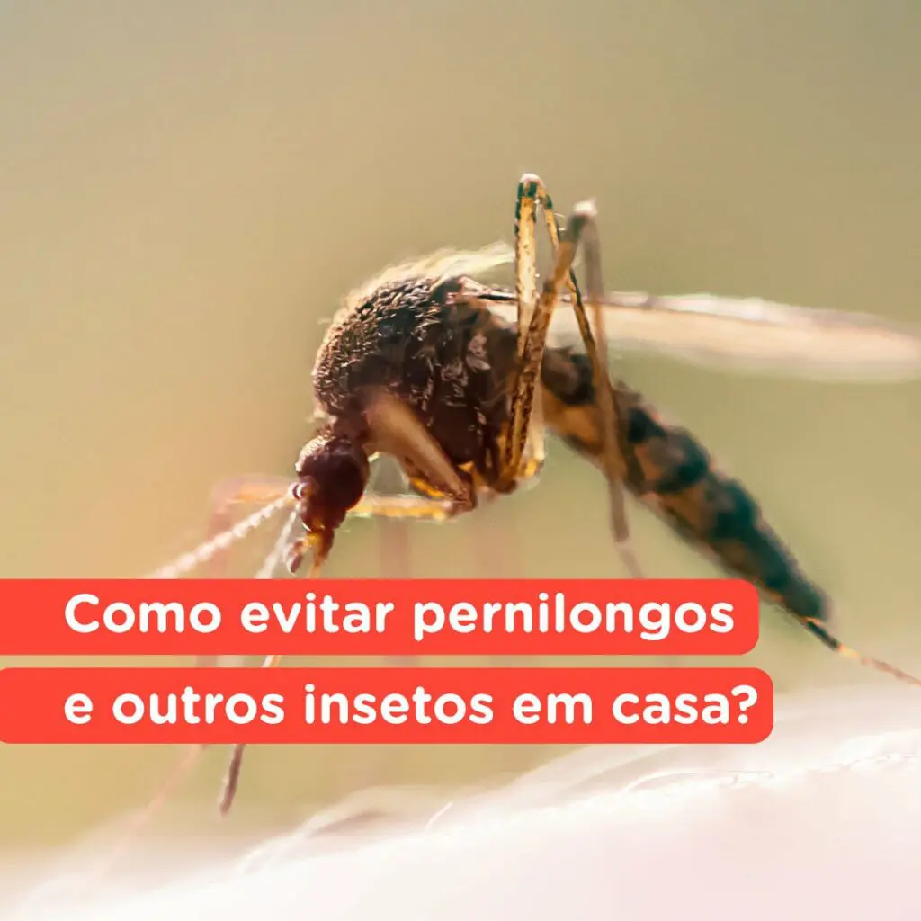 1. Como fazer um repelente caseiro para pernilongos.
2. Os melhores inseticidas elétricos para proteger sua casa.
3. Plantas que afastam pernilongos: um guia completo.
4. Dicas de prevenção para evitar a entrada de pernilongos.
5. A ciência por trás dos ventiladores contra mosquitos.