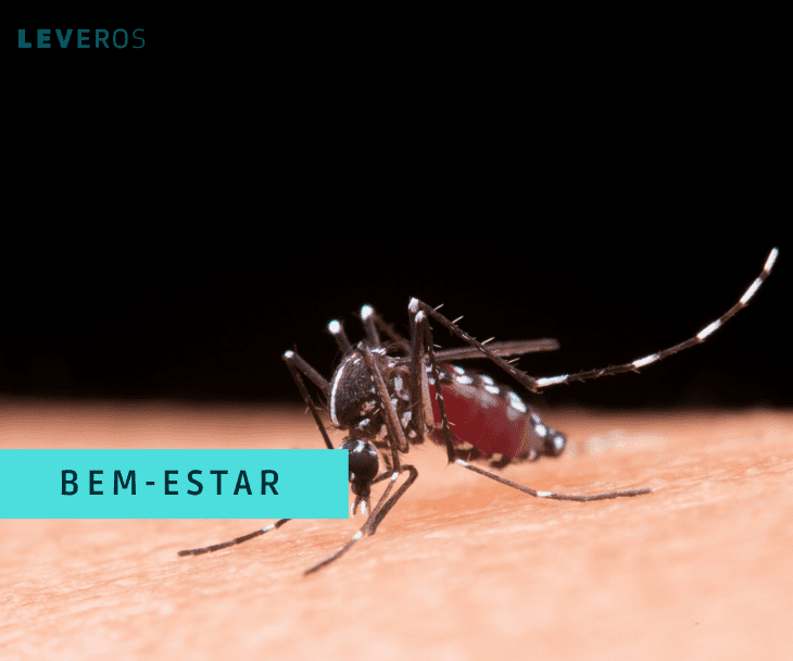 Pernilongo Como Acabar