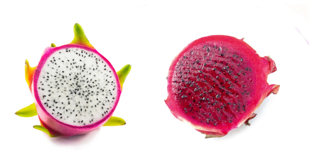 pitaya branca ou vermelha qual a melhor