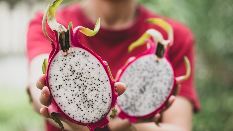 pitaya sem sabor como escolher