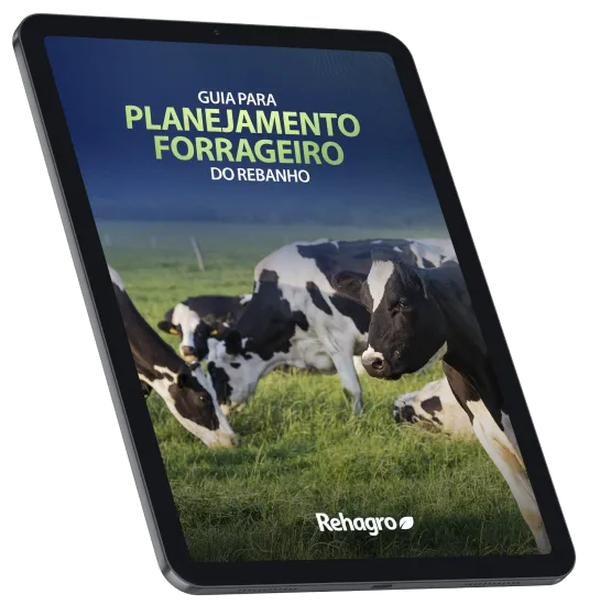 Tipos de forragens conservadas: silagem vs. feno