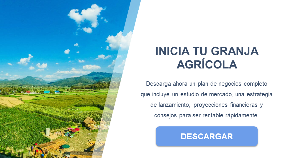 planejamento financeiro para agronegócio