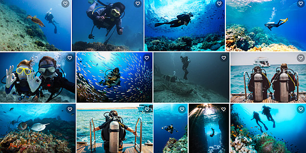 Pontos De Mergulho Brasil