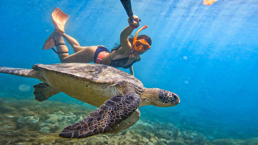 Pontos De Mergulho Brasil