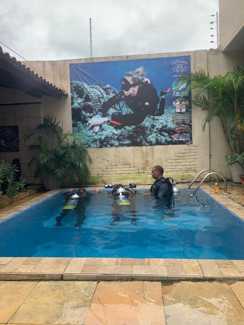 5 ideias de títulos:
1. Guia Completo: Os Melhores Destinos de Mergulho no Brasil
2. Mergulho em Água Doce: Aventuras Subaquáticas em Bonito e Jalapão
3. Explorando Naufrágios: Recife e Angra dos Reis para Mergulhadores Experientes
4. Mergulho para Iniciantes: Dicas e Locais Ideais no Brasil
5. A Biodiversidade Marinha do Brasil: Mergulhando em Fernando de Noronha e Abrolhos