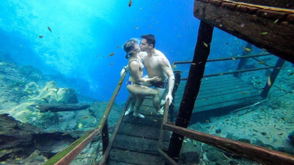 Pontos De Mergulho Brasil