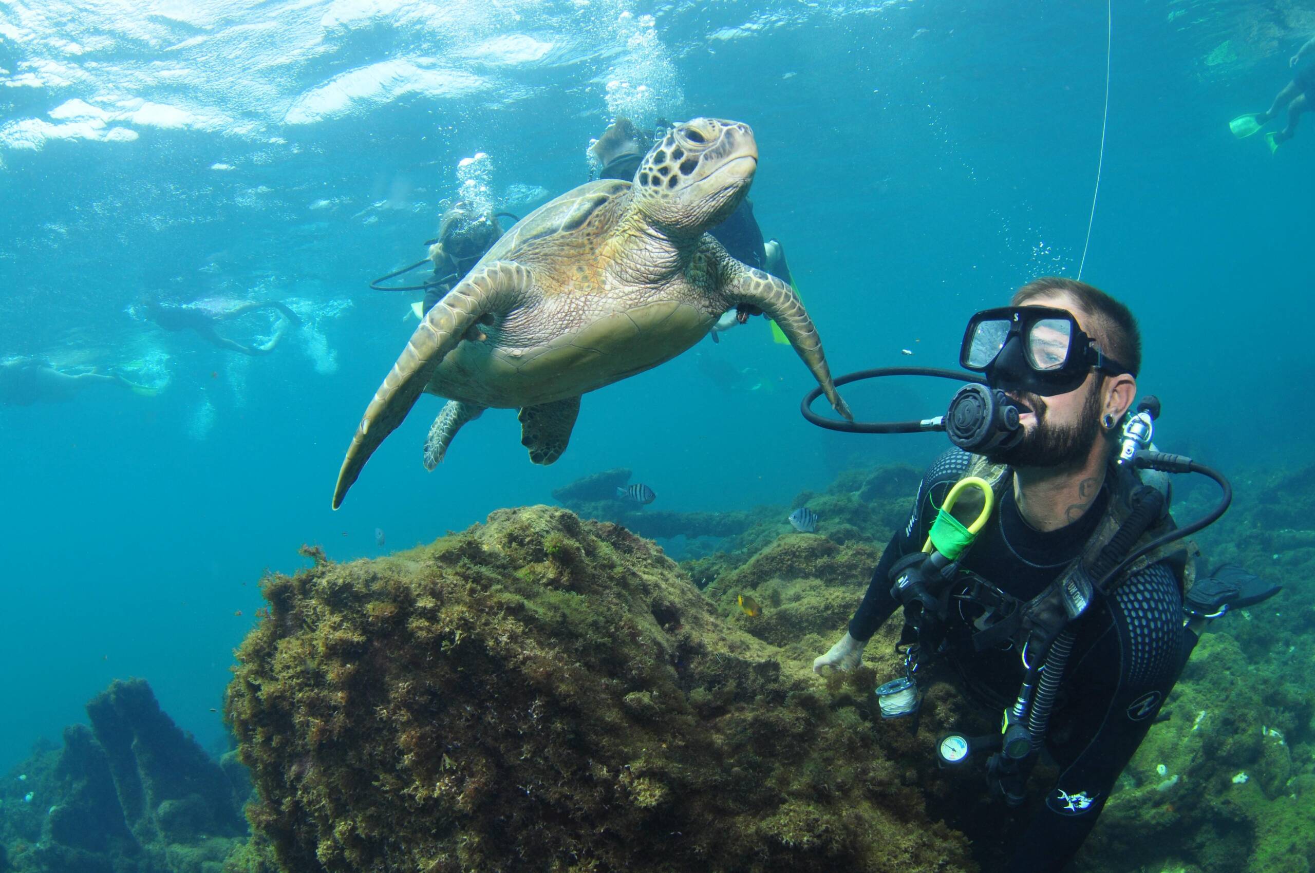 5 ideias de títulos:
1. Guia Completo: Os Melhores Destinos de Mergulho no Brasil
2. Mergulho em Água Doce: Aventuras Subaquáticas em Bonito e Jalapão
3. Explorando Naufrágios: Recife e Angra dos Reis para Mergulhadores Experientes
4. Mergulho para Iniciantes: Dicas e Locais Ideais no Brasil
5. A Biodiversidade Marinha do Brasil: Mergulhando em Fernando de Noronha e Abrolhos
