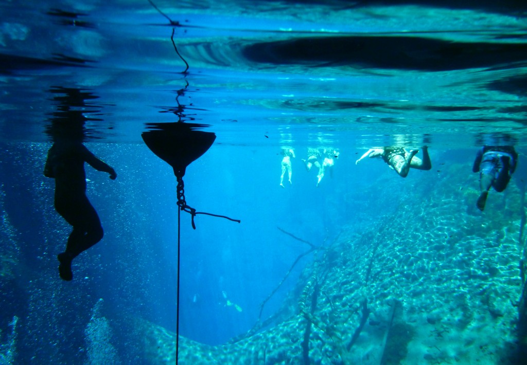 5 ideias de títulos:
1. Guia Completo: Os Melhores Destinos de Mergulho no Brasil
2. Mergulho em Água Doce: Aventuras Subaquáticas em Bonito e Jalapão
3. Explorando Naufrágios: Recife e Angra dos Reis para Mergulhadores Experientes
4. Mergulho para Iniciantes: Dicas e Locais Ideais no Brasil
5. A Biodiversidade Marinha do Brasil: Mergulhando em Fernando de Noronha e Abrolhos