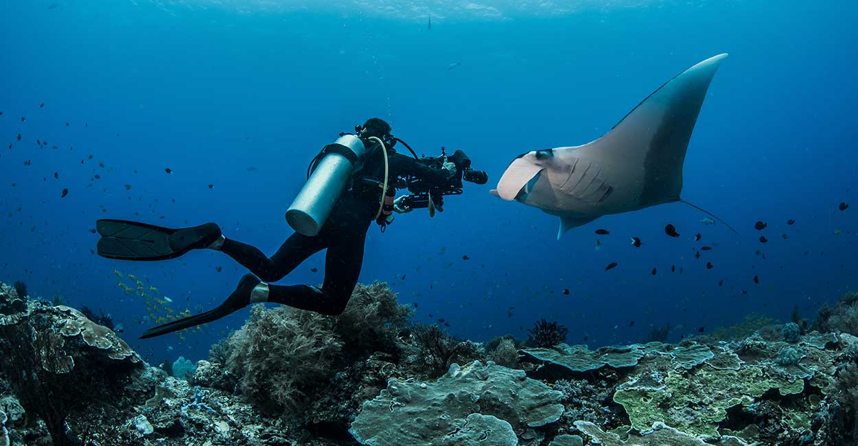 Pontos De Mergulho Brasil