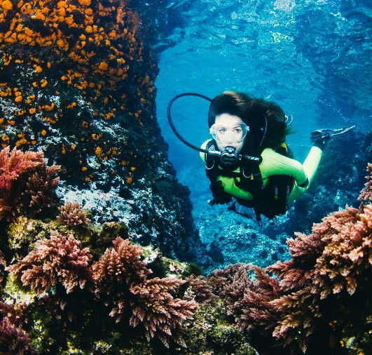 5 ideias de títulos:
1. Guia Completo: Os Melhores Destinos de Mergulho no Brasil
2. Mergulho em Água Doce: Aventuras Subaquáticas em Bonito e Jalapão
3. Explorando Naufrágios: Recife e Angra dos Reis para Mergulhadores Experientes
4. Mergulho para Iniciantes: Dicas e Locais Ideais no Brasil
5. A Biodiversidade Marinha do Brasil: Mergulhando em Fernando de Noronha e Abrolhos