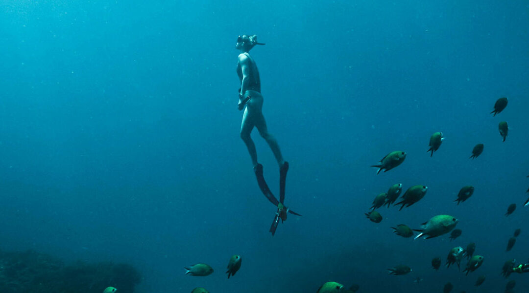 Pontos De Mergulho Brasil