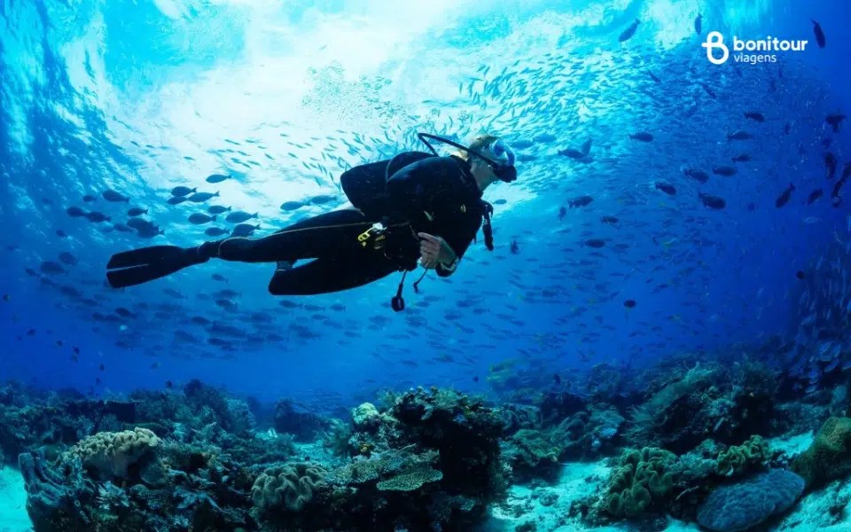 5 ideias de títulos:
1. Guia Completo: Os Melhores Destinos de Mergulho no Brasil
2. Mergulho em Água Doce: Aventuras Subaquáticas em Bonito e Jalapão
3. Explorando Naufrágios: Recife e Angra dos Reis para Mergulhadores Experientes
4. Mergulho para Iniciantes: Dicas e Locais Ideais no Brasil
5. A Biodiversidade Marinha do Brasil: Mergulhando em Fernando de Noronha e Abrolhos