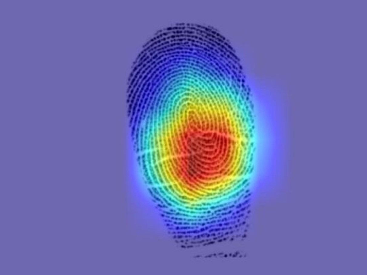 por que temos impressões digitais