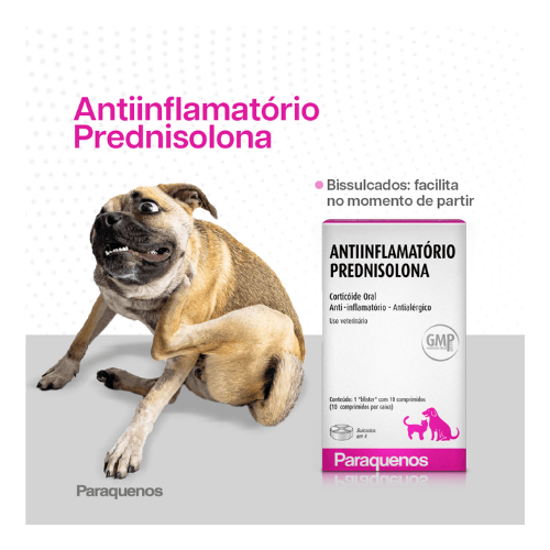 dosagem de prednisolona para cães