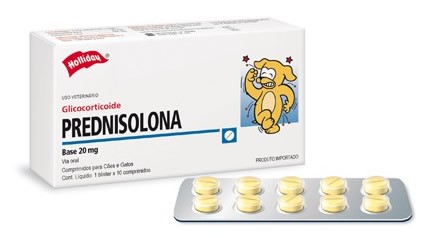 tratamento de inflamação em cães com prednisolona