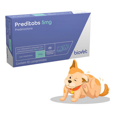 imunossupressor veterinário para cães