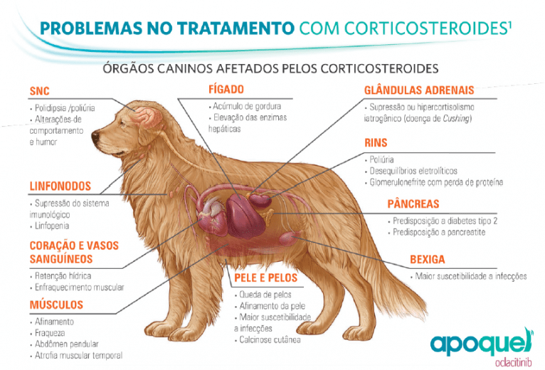 dosagem de prednisolona para cães