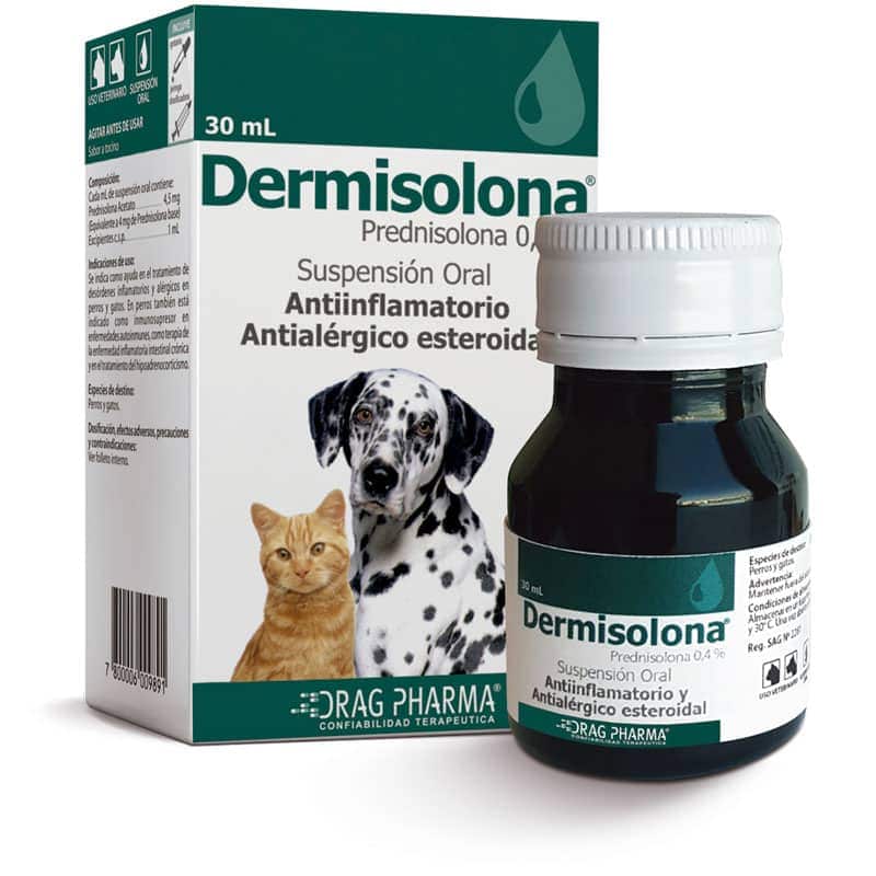 prednisolona para cachorro