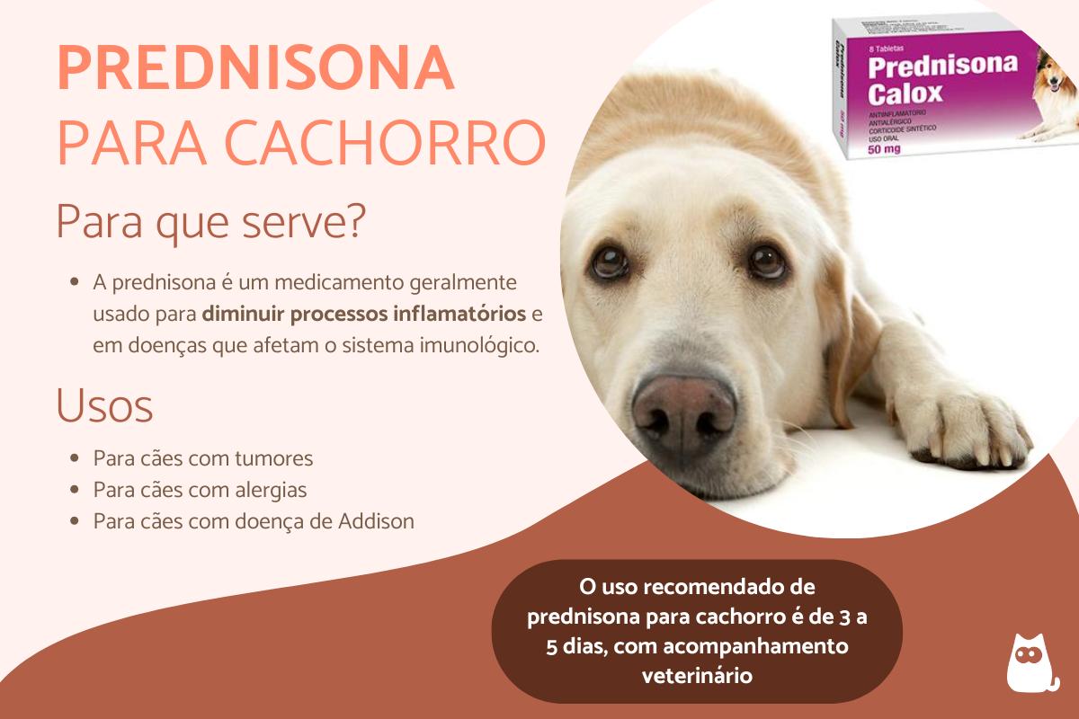 efeitos colaterais prednisolona canina