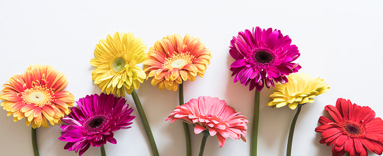 como usar flores naturais para pintar desenhos de primavera