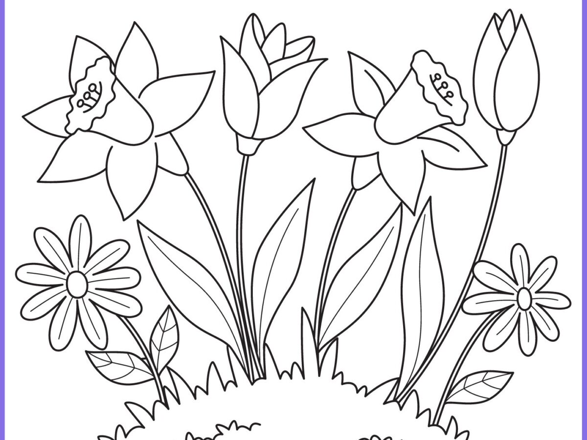 desenhos de primavera vs. outros temas sazonais