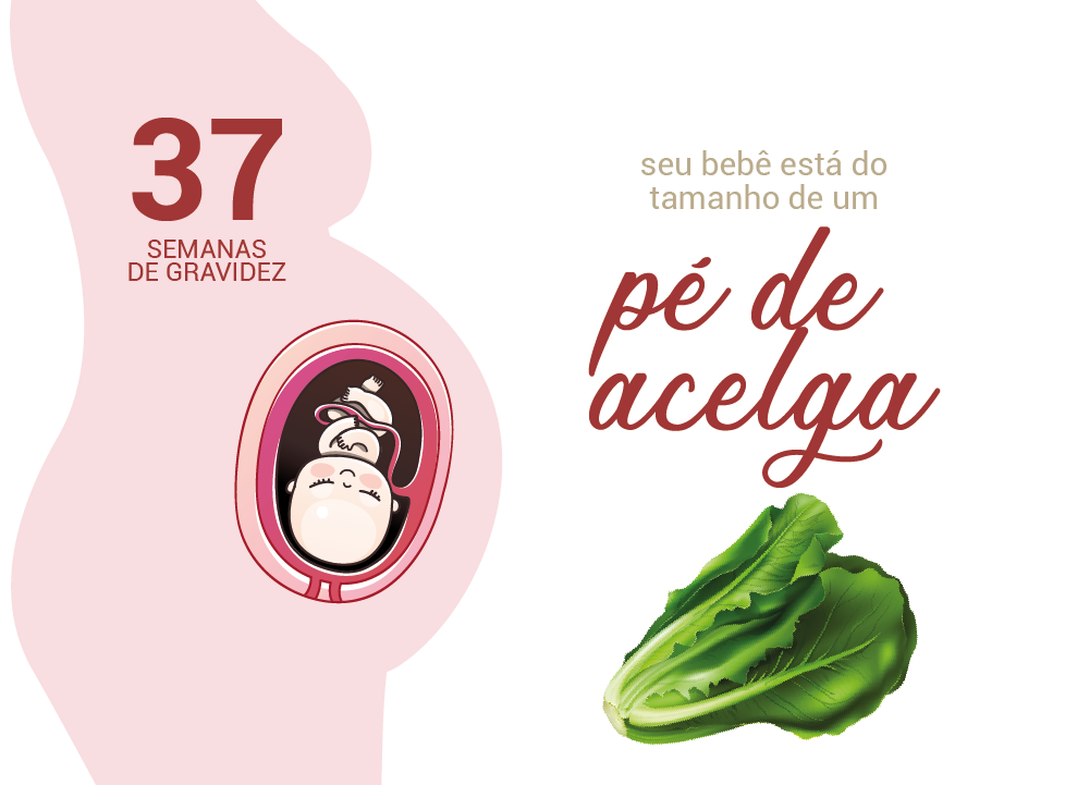 concepção após os 35 anos dicas