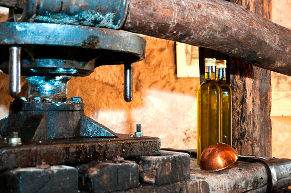 produção de azeite artesanal