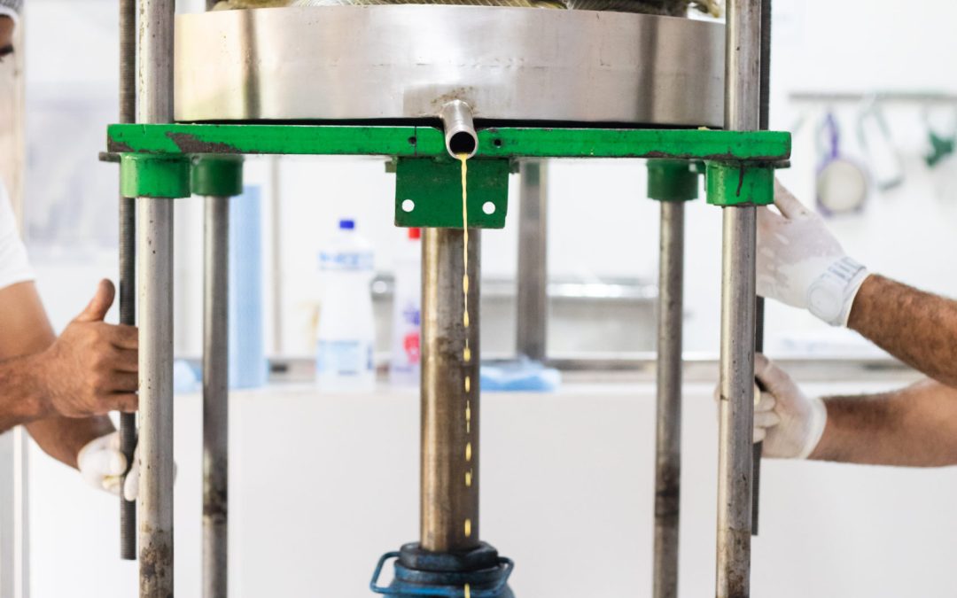 Guia Completo: Como Iniciar Sua Produção de Azeite Artesanal em Casa