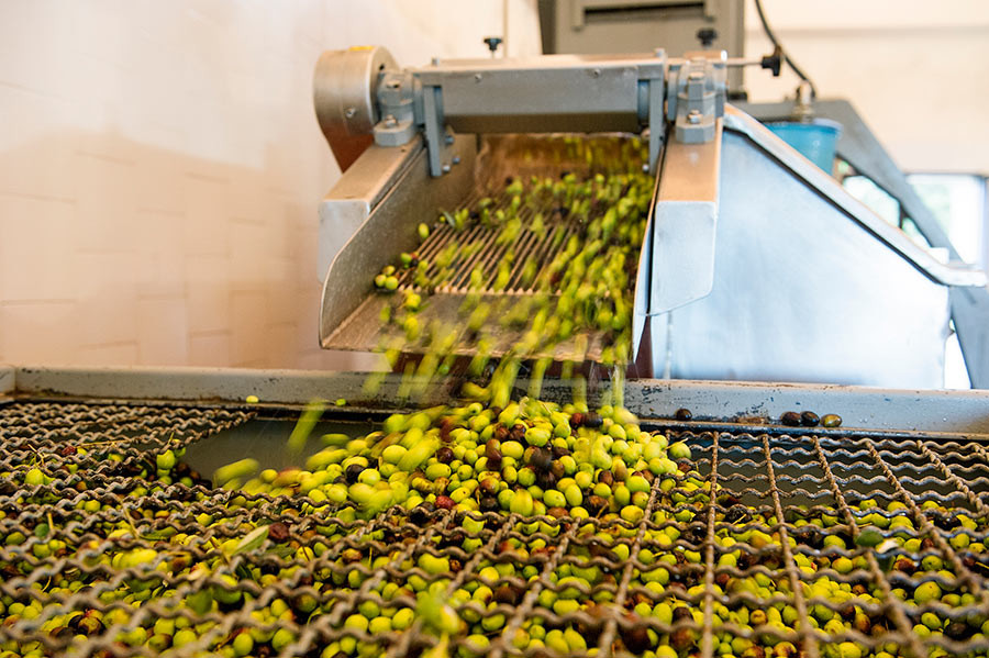 Azeite Extra Virgem: Entenda a Classificação e Seus Benefícios