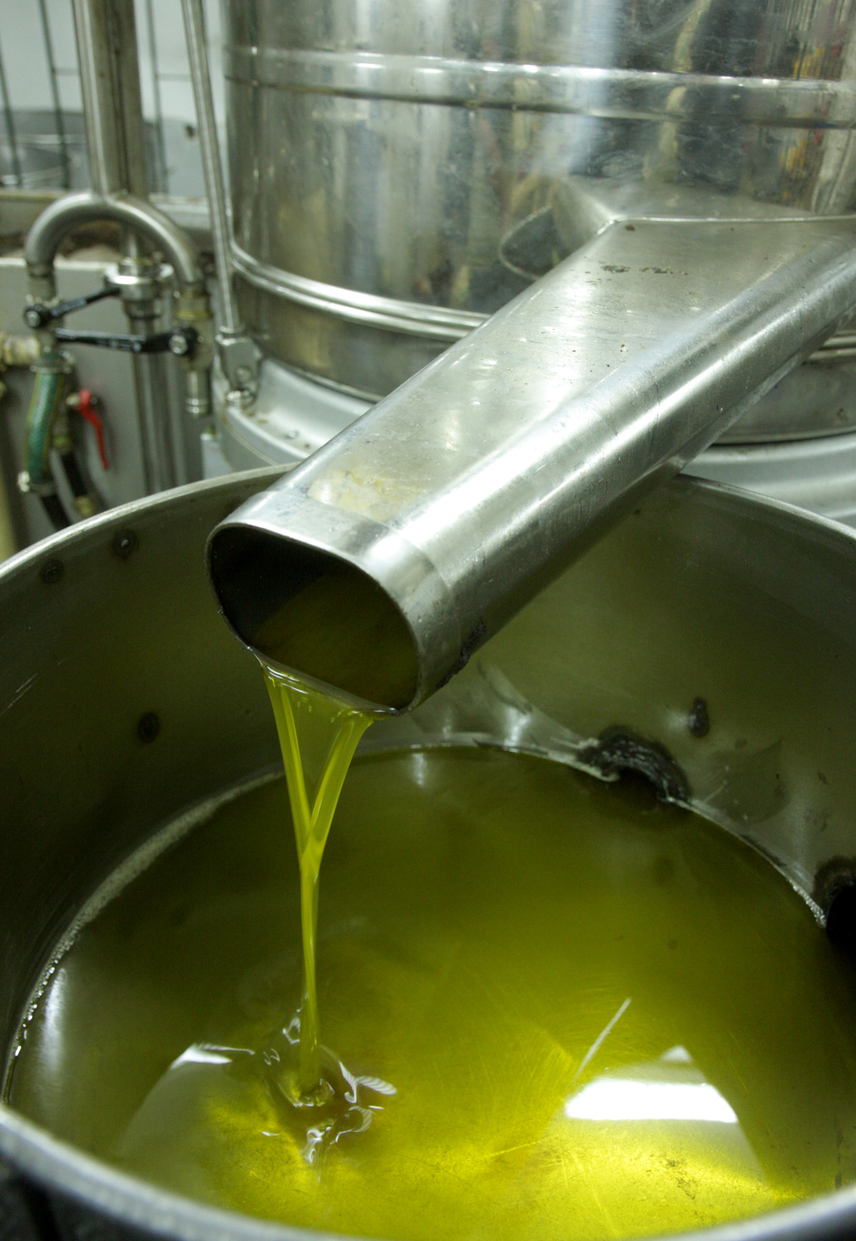 Além da Oliva: Conheça o Azeite de Babaçu e Outras Produções Brasileiras