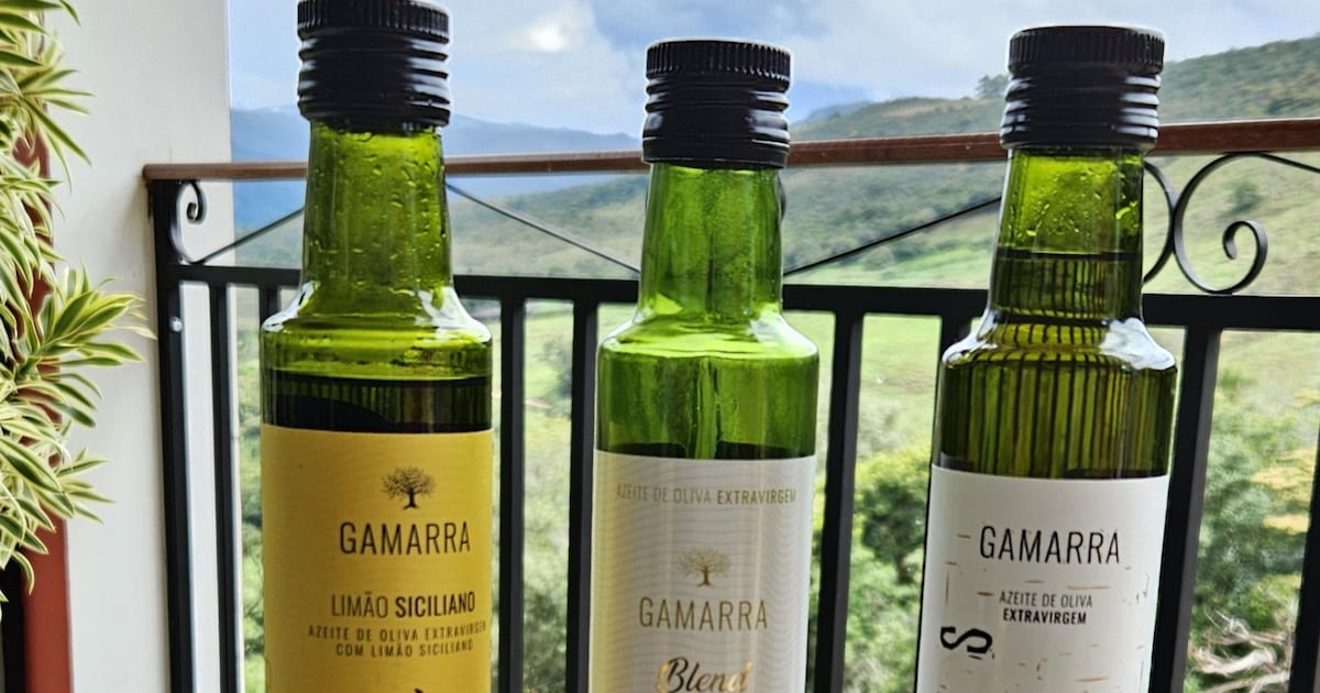 Equipamentos Essenciais para a Produção de Azeite Artesanal