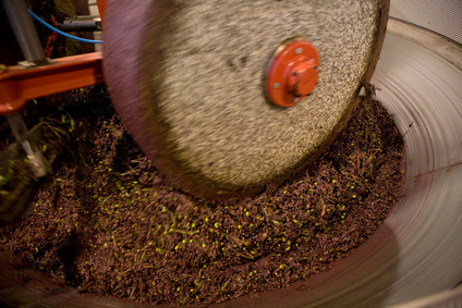 Guia Completo: Como Iniciar Sua Produção de Azeite Artesanal em Casa